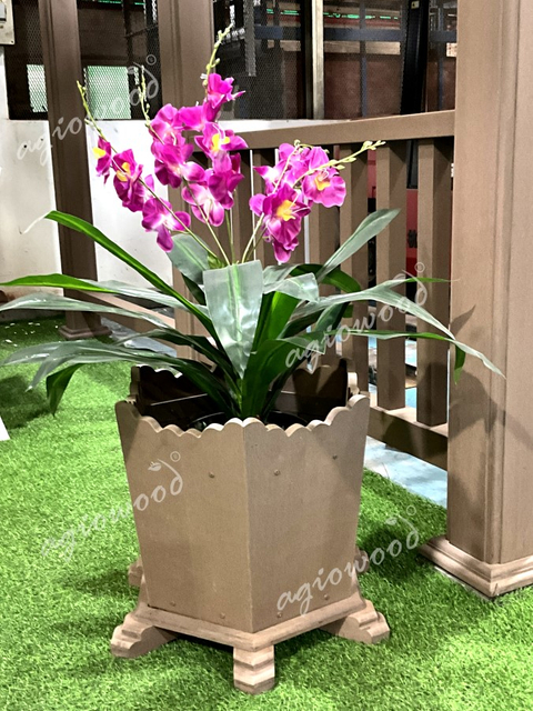 Qodaa daraaraa heksaagoonaalii .