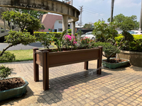 Planter adaka a wɔama so ne turo mu mpa .